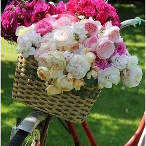 Meet your Posher, Jackie